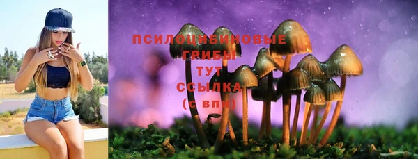 индика Куйбышев