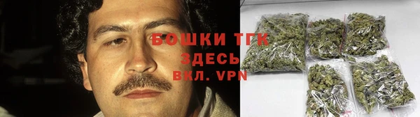 индика Куйбышев