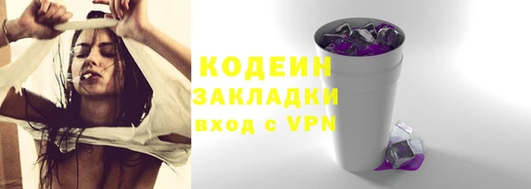 индика Куйбышев