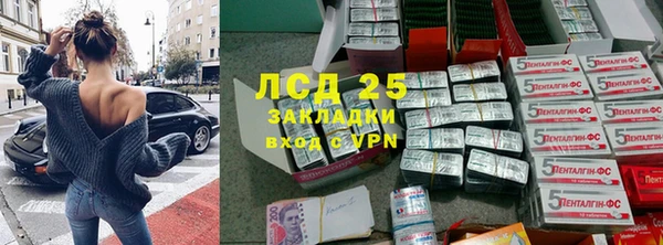 индика Куйбышев