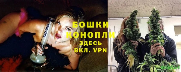 индика Куйбышев