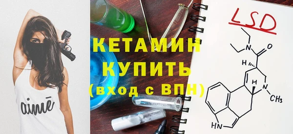 сатива Надым