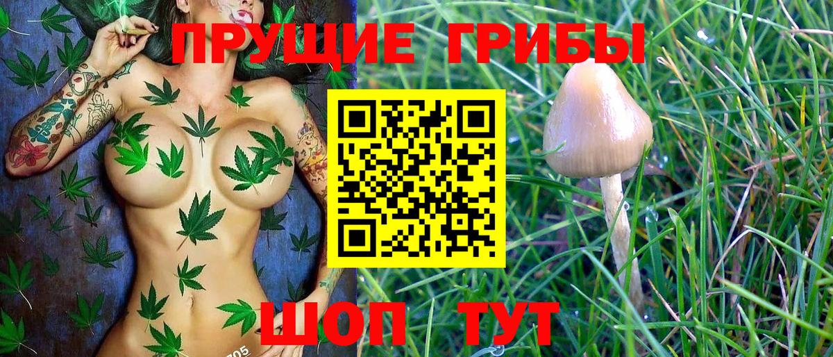 Галлюциногенные грибы MAGIC MUSHROOMS Урус-Мартан