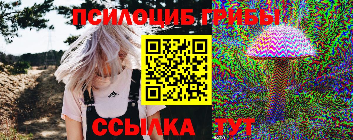 Псилоцибиновые грибы MAGIC MUSHROOMS  Урус-Мартан 