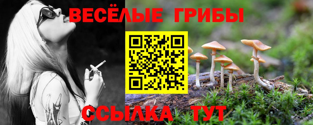 Урус-Мартан  закладки  Вход с VPN  Псилоцибиновые грибы мицелий  Галлюциногенные грибы Psilocybine cubensis 