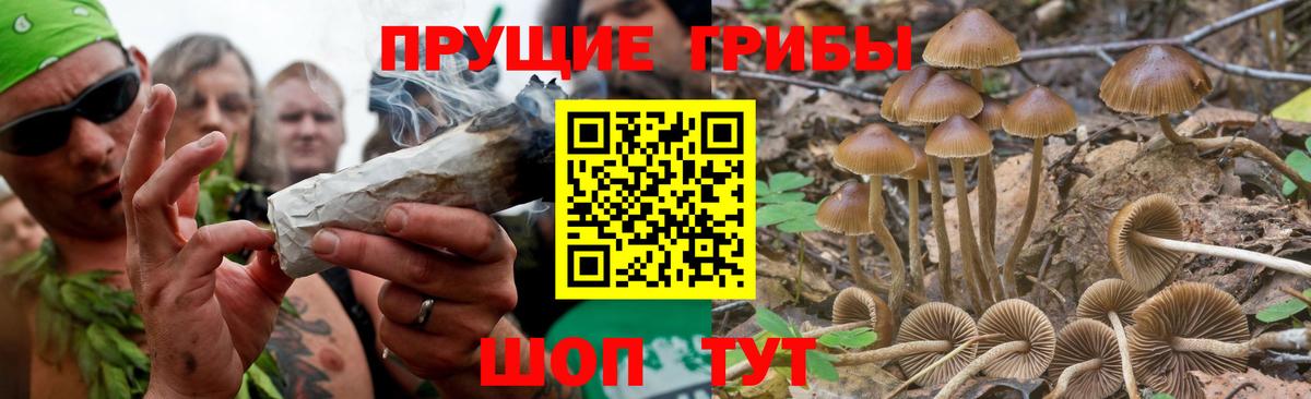 Галлюциногенные грибы GOLDEN TEACHER Урус-Мартан