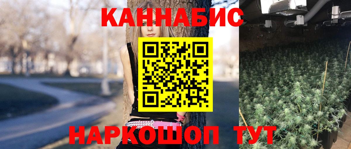 Конопля Bruce Banner  Урус-Мартан  Канабис OG Kush 